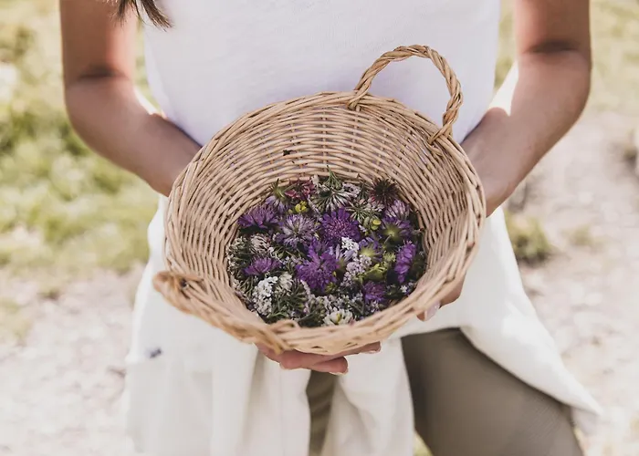Seehotel Jaegerwirt Hotel Turracher Hoehe
